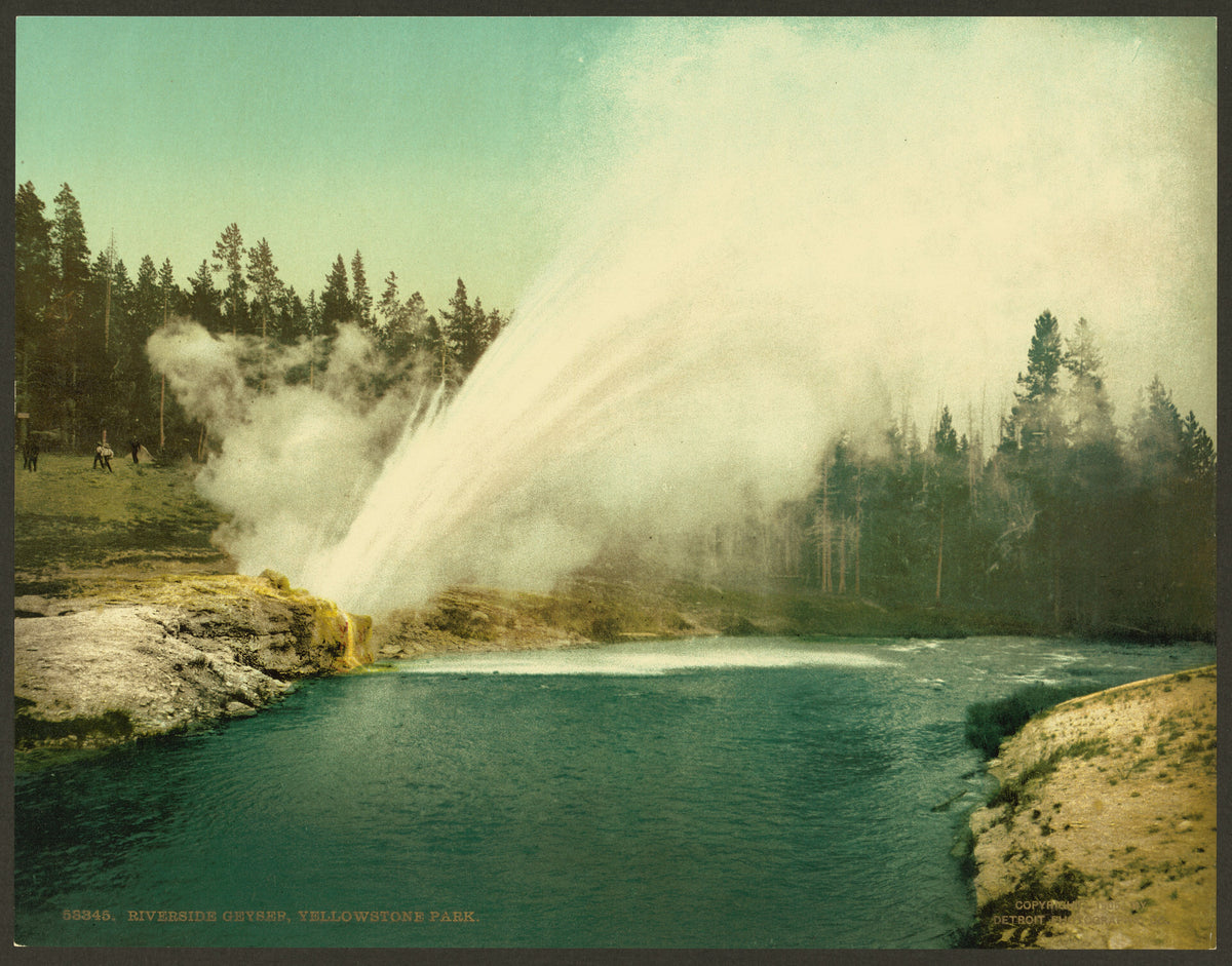 Photochrom of Riverside Geyser erupting over the Firehole River, Yellowstone