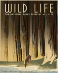 Wild Life: The National Parks Preserve All Life, 1940 poster